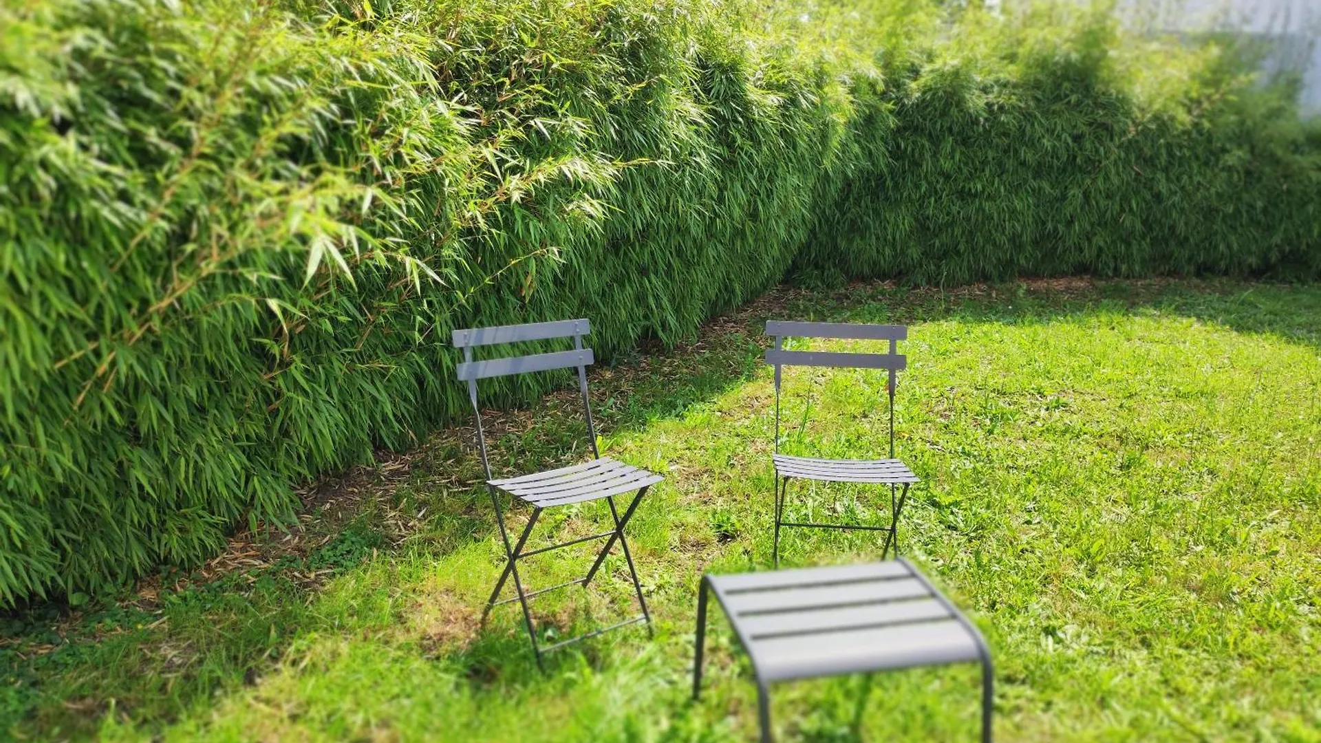 Le Jardin D Ambroise Apartment Saint-Priest-en-Jarez